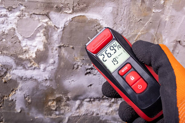 Best Water Damage Restoration  in Wadena, MN