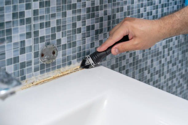 Best Certified Mold Removal  in Wadena, MN